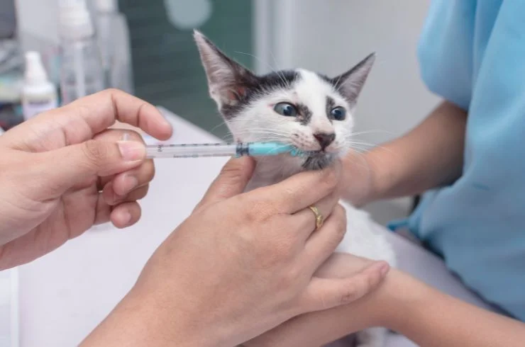 Deworming