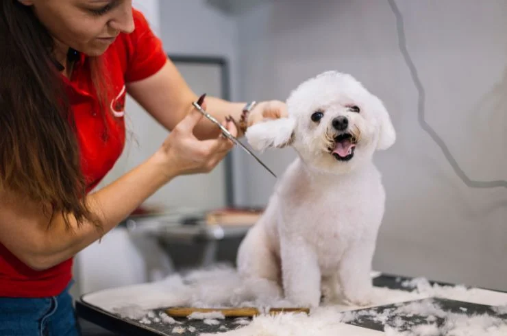 Grooming