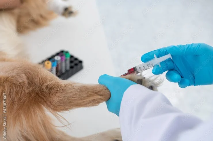 Lab Test
